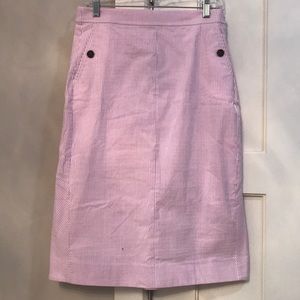 New J. Crew skirt